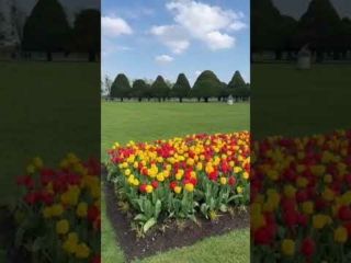 Hampton Court Tulip Festival 2023
