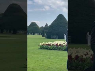 Hampton Court Tulip Festival 2023