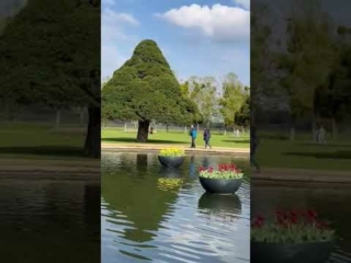 Hampton Court Tulip Festival 2023