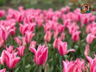 WhatsApp Image 2023-04-22 at 18.25.53