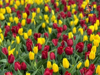 WhatsApp Image 2023-04-22 at 18.25.58