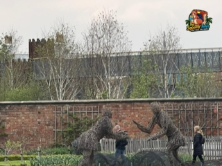 WhatsApp Image 2023-04-22 at 18.26.26