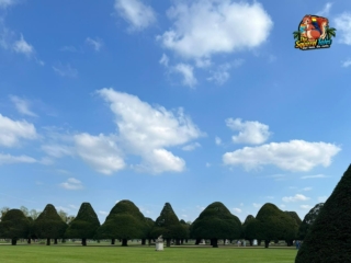 WhatsApp Image 2023-04-22 at 18.34.44