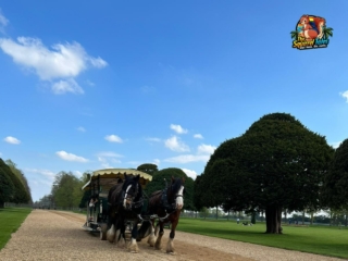 WhatsApp Image 2023-04-22 at 18.36.03