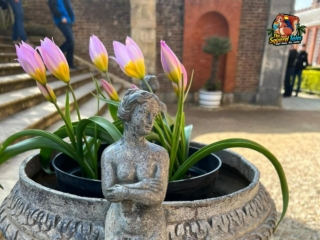 WhatsApp Image 2023-04-22 at 18.37.18